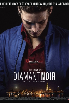 Diamant noir (2015)
